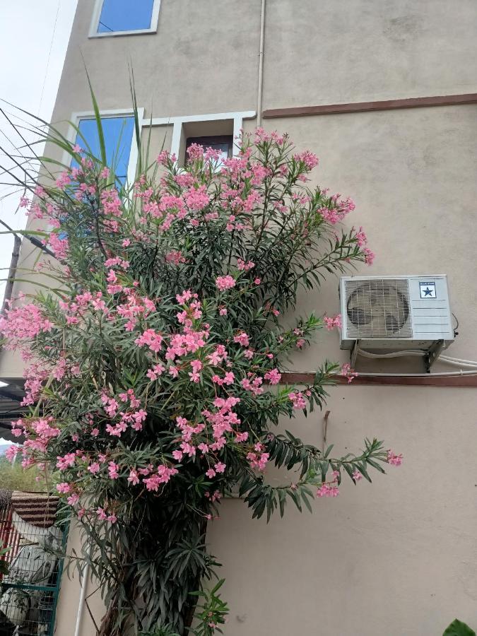Advik Homestays Tirupati Exterior foto